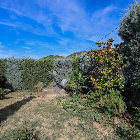 Sara Village Oasis Villa *